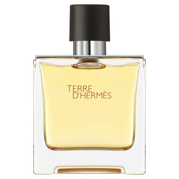تير دي هيرمز عطر هيرمز للرجال بيور برفيوم 75 مل