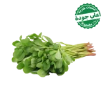 رجلة محلي 1 ربطة