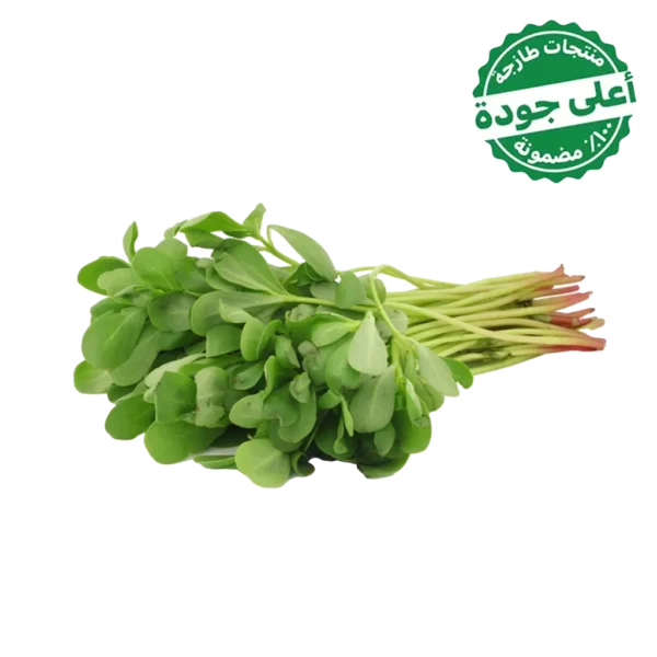 رجلة محلي 1 ربطة