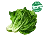 خس روماني محلي 1 حبة