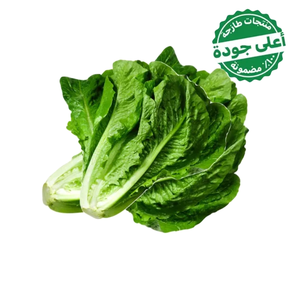 خس روماني محلي 1 حبة