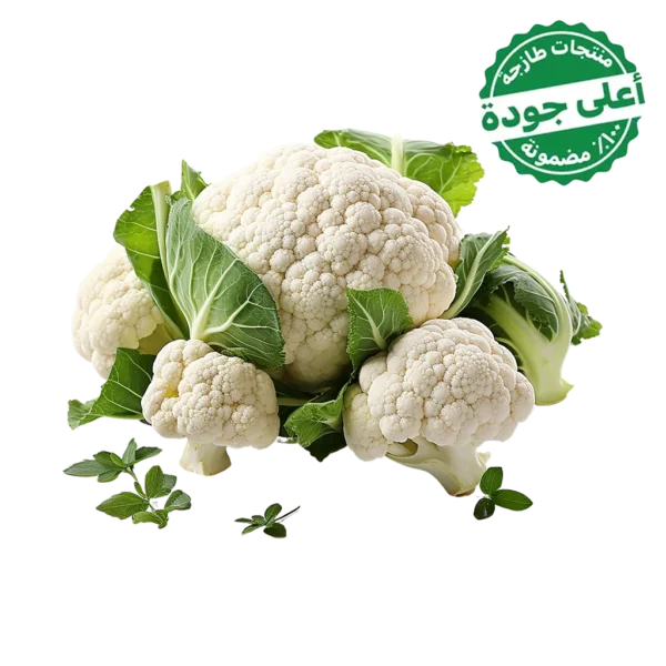 قرنبيط (زهرة) محلي حبة واحدة