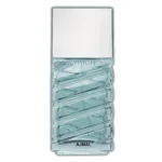 أجمل عطر فيجن أو دي برفيوم 100 مل