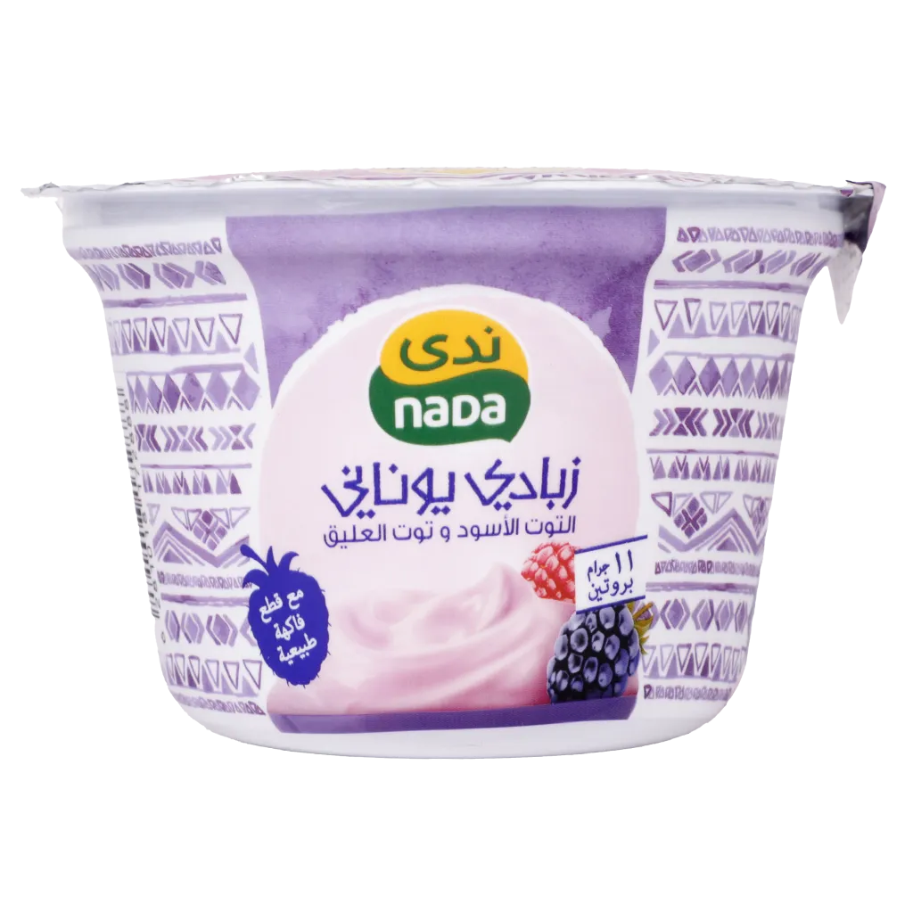 15027bab-c2cc-4097-b3fb-a9893b86d253 ندى زبادي يوناني بالتوت الأسود وتوت العليق 160 ج - الصورة 1