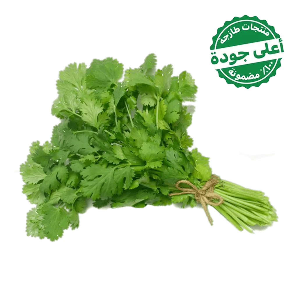219adac5-1977-4d1a-b089-fbf9e6795671 كزبرة محلي 1 ربطة - الصورة 1