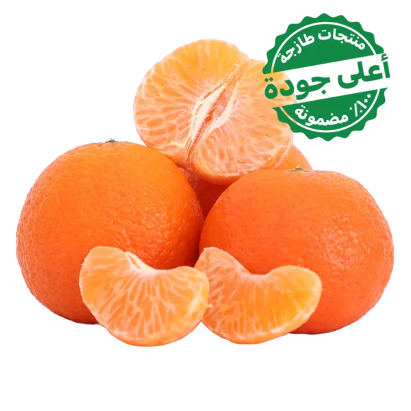 يوسف افندي مغربي 1 كج