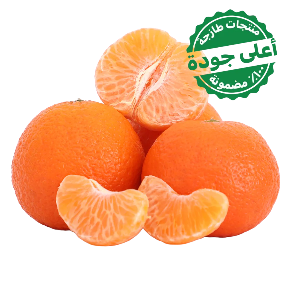 239d2ff1-4562-4009-a499-f9abcffa10d5 يوسف افندي مغربي 1 كج - الصورة 1