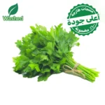 بقدونس مغسول 1 ربطة