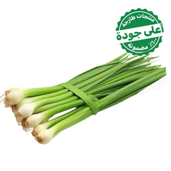 بصل أخضر محلي 1 ربطة