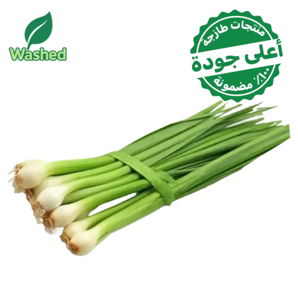 بصل اخضر مغسول 1 ربطة