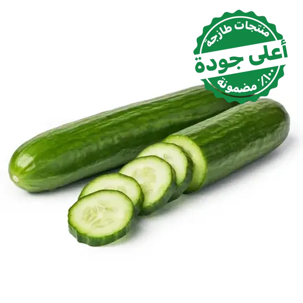 36a8911e-1074-4bad-ba10-826a96b17a10 خيار زراعة مائية 500 جم تقريبًا - الصورة 1