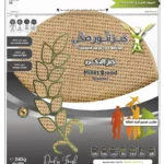 خبز تنور صحي دخن 240 ج