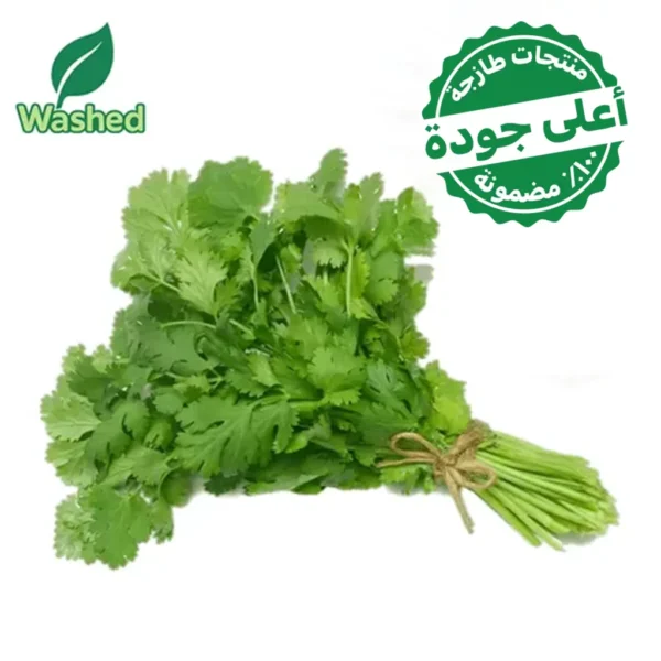 كزبرة مغسولة 1 ربطة