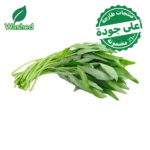 حبق مغسول 1 ربطة