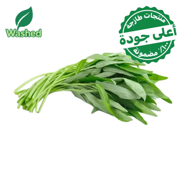 حبق مغسول 1 ربطة
