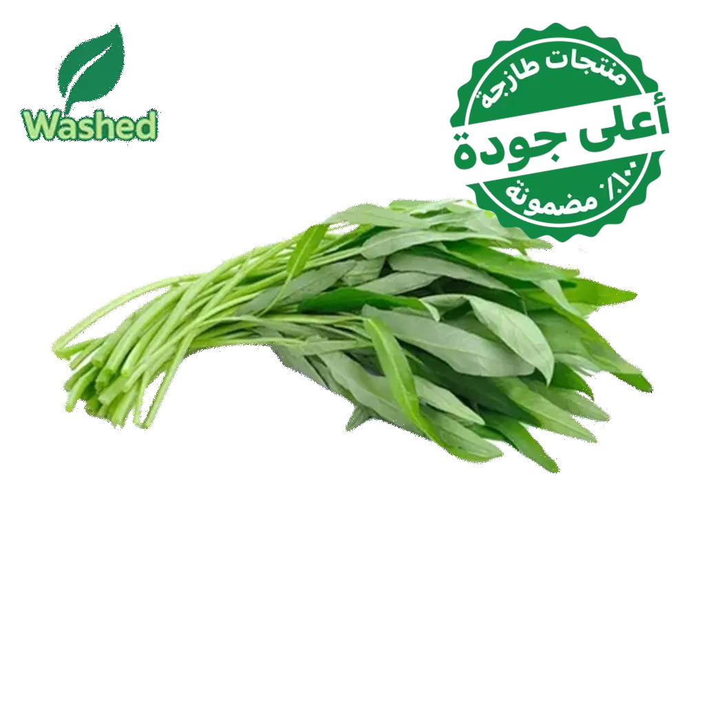 506fa24b-8c34-47a4-a14b-8eafdfef865b حبق مغسول 1 ربطة - الصورة 1