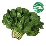 سبانخ محلي 1 ربطة