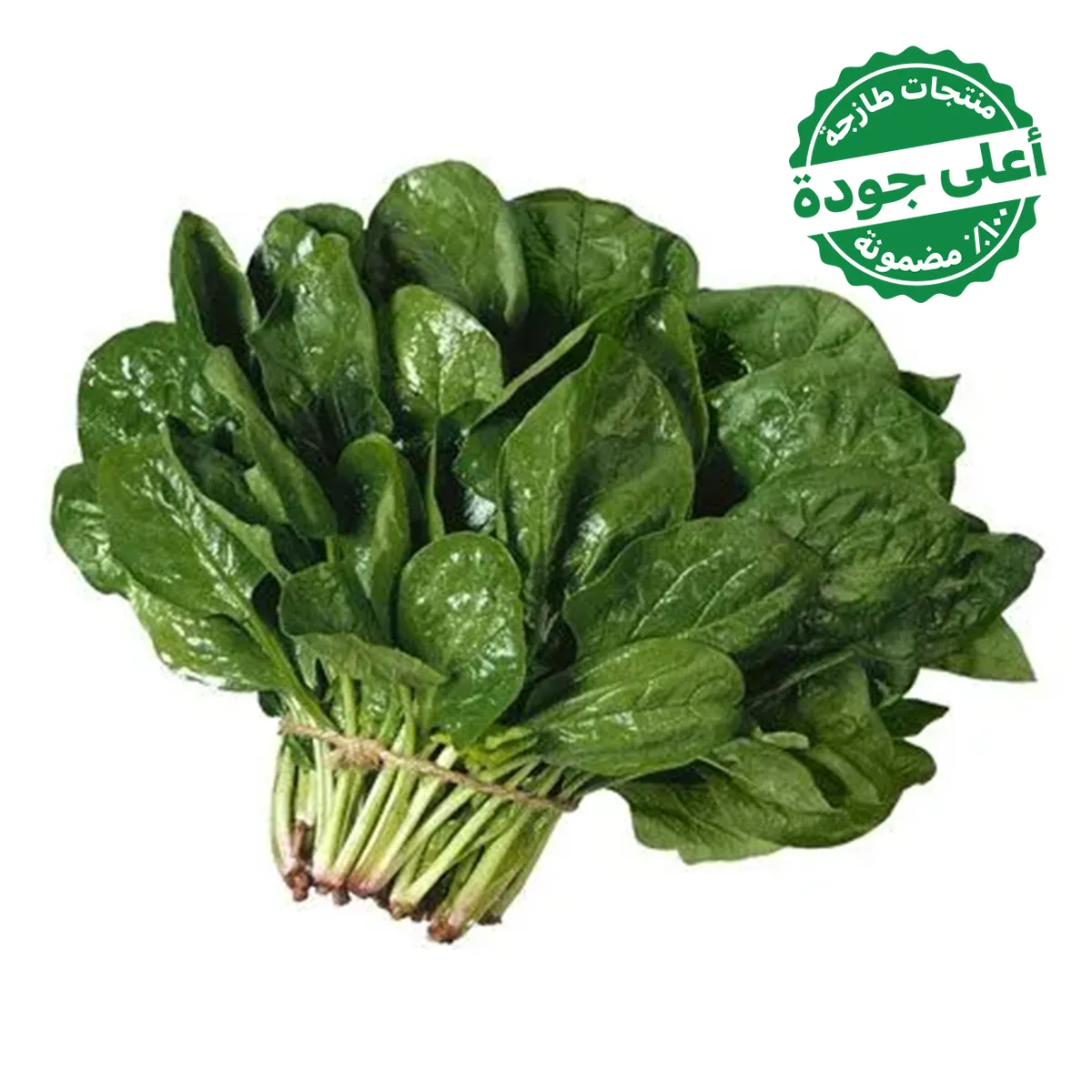 57df0afa-5b2d-48c4-9608-28ede1549c59 سبانخ محلي 1 ربطة - الصورة 1
