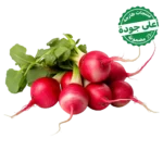 فجل احمر محلي 1 ربطة