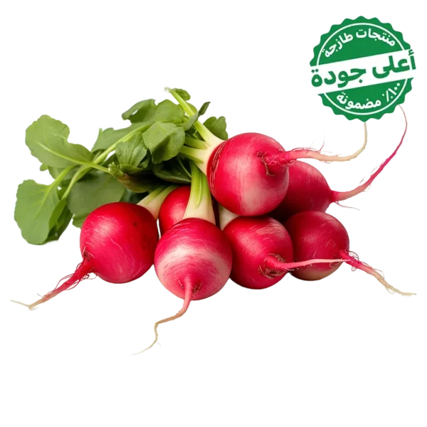 فجل احمر محلي 1 ربطة