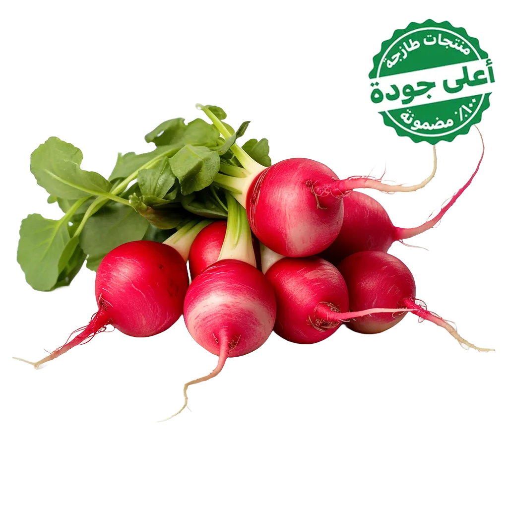 58e3a81b-a684-4b81-8946-83e8c21e2646 فجل احمر محلي 1 ربطة - الصورة 1