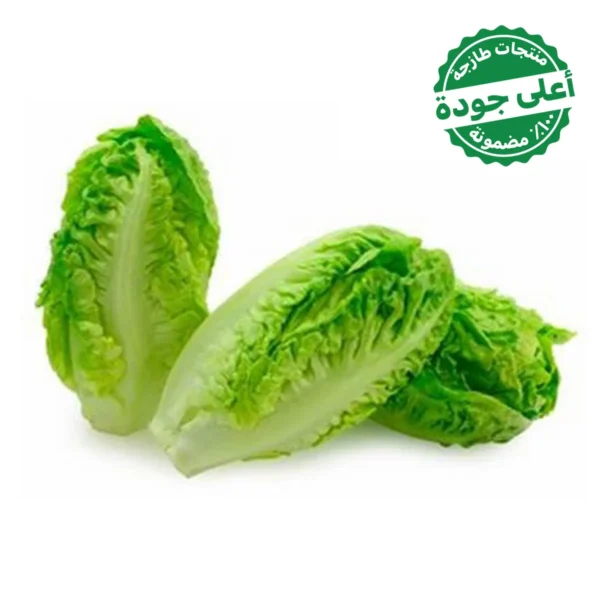 خس بيبي جيم مستورد 6 قطع