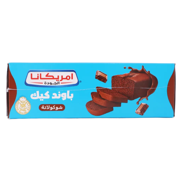 امريكانا كيك العائلة بالشوكولاتة 220 ج