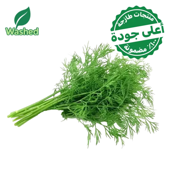 شبت مغسول 1 ربطة