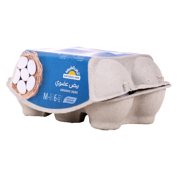أرض الطبيعة بيض عضوي ٦حبة