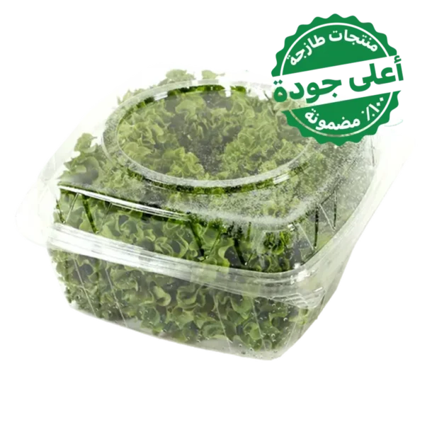 خس لولو بيوندو علبة 1 قطعة 250 جرام تقريبا