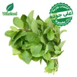 نعناع مغسول 1 ربطة