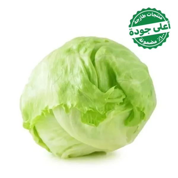 خس امريكي مستورد 1 حبة