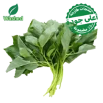 ملوخية مغسولة 1 ربطة