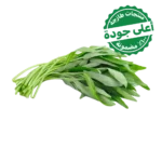 حبق محلي 1 ربطة