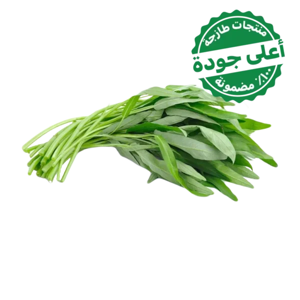 حبق محلي 1 ربطة