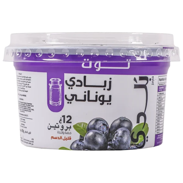 بلدي زبادي يوناني توت أزرق قليل الدسم ١٨٠ ج