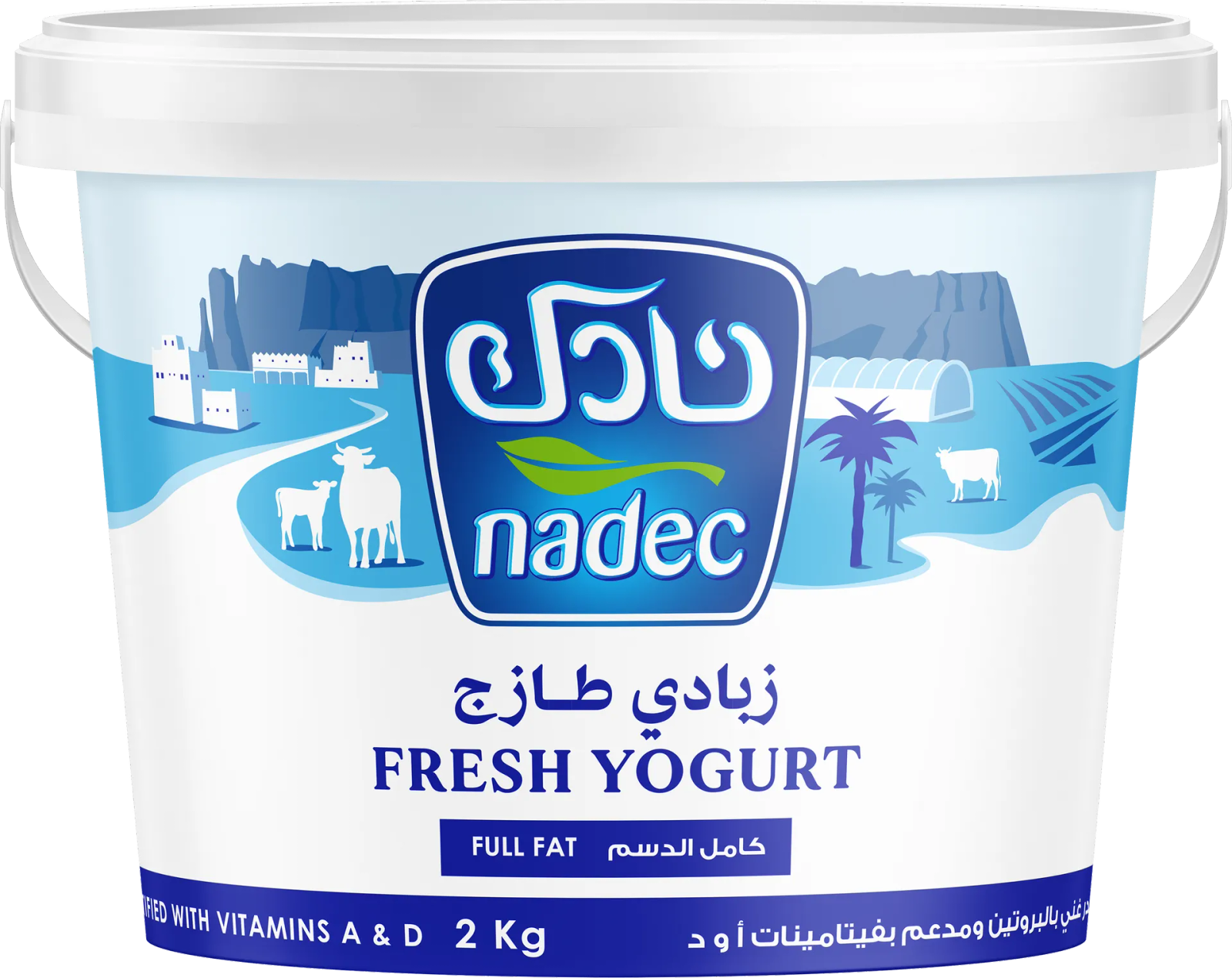 Yoghurt-FF-2KG-6281057030040 نادك زبادي كامل الدسم 2 كج - الصورة 1