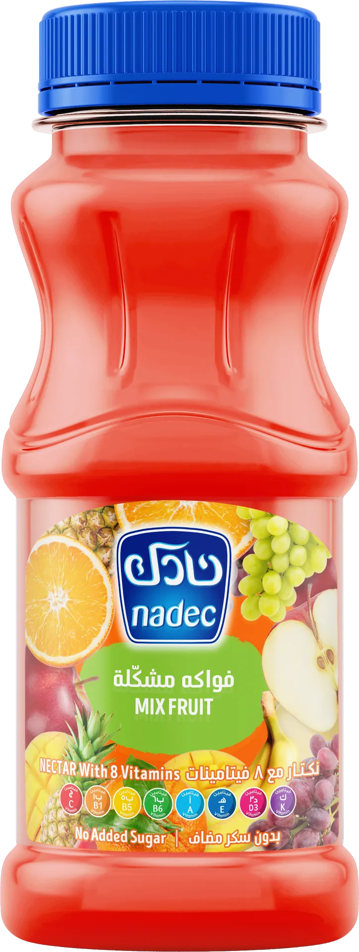 bebf75ca-f29f-4248-b086-6da2c5802b1e نادك نكتار فواكه مشكلة مع 8 فيتامينات 180 مل - الصورة 1