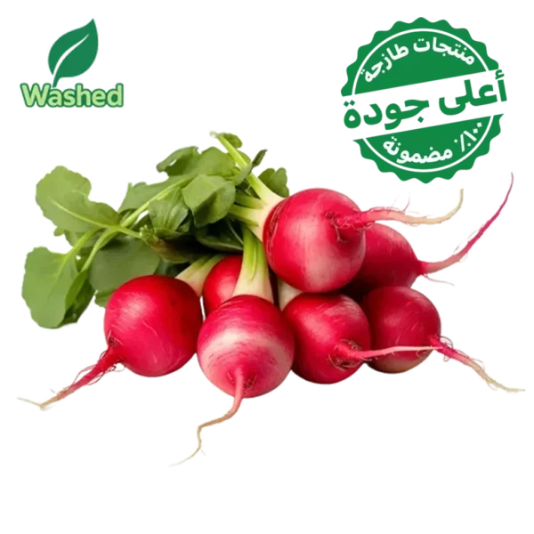 فجل احمر مغسول 1 ربطة