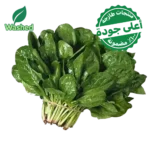 سبانخ مغسولة 1 ربطة