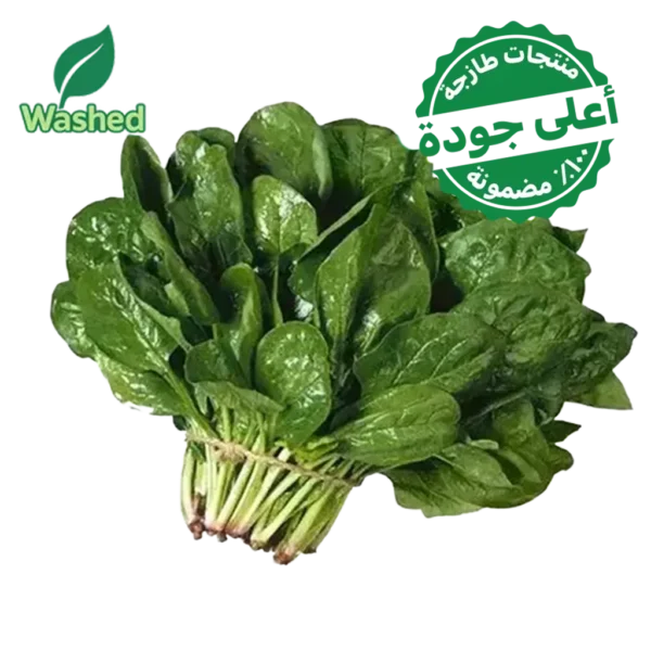 سبانخ مغسولة 1 ربطة