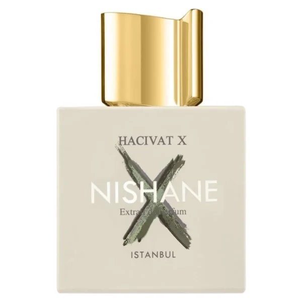 نيشاني عطر هاشيفات اكس اكسترايت دي برفيوم 100 مل