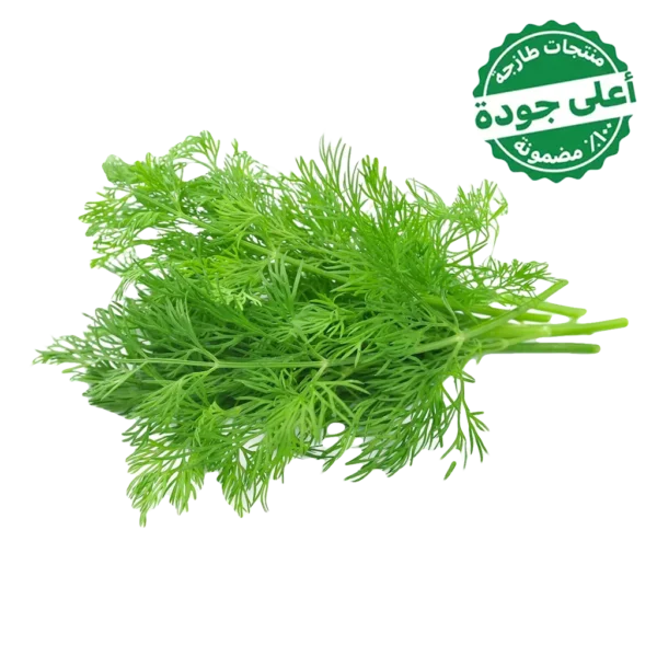 شبت محلي 1 ربطة